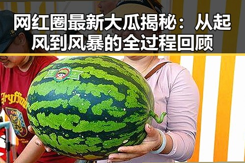 网红圈最新大瓜揭秘：从起风到风暴的全过程回顾