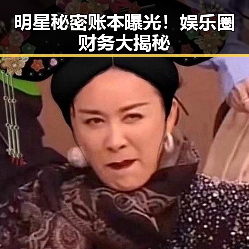 明星秘密账本曝光！娱乐圈财务大揭秘
