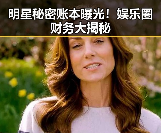 明星秘密账本曝光！娱乐圈财务大揭秘