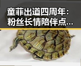童菲出道四周年：粉丝长情陪伴点燃她的每一个瞬间🔥